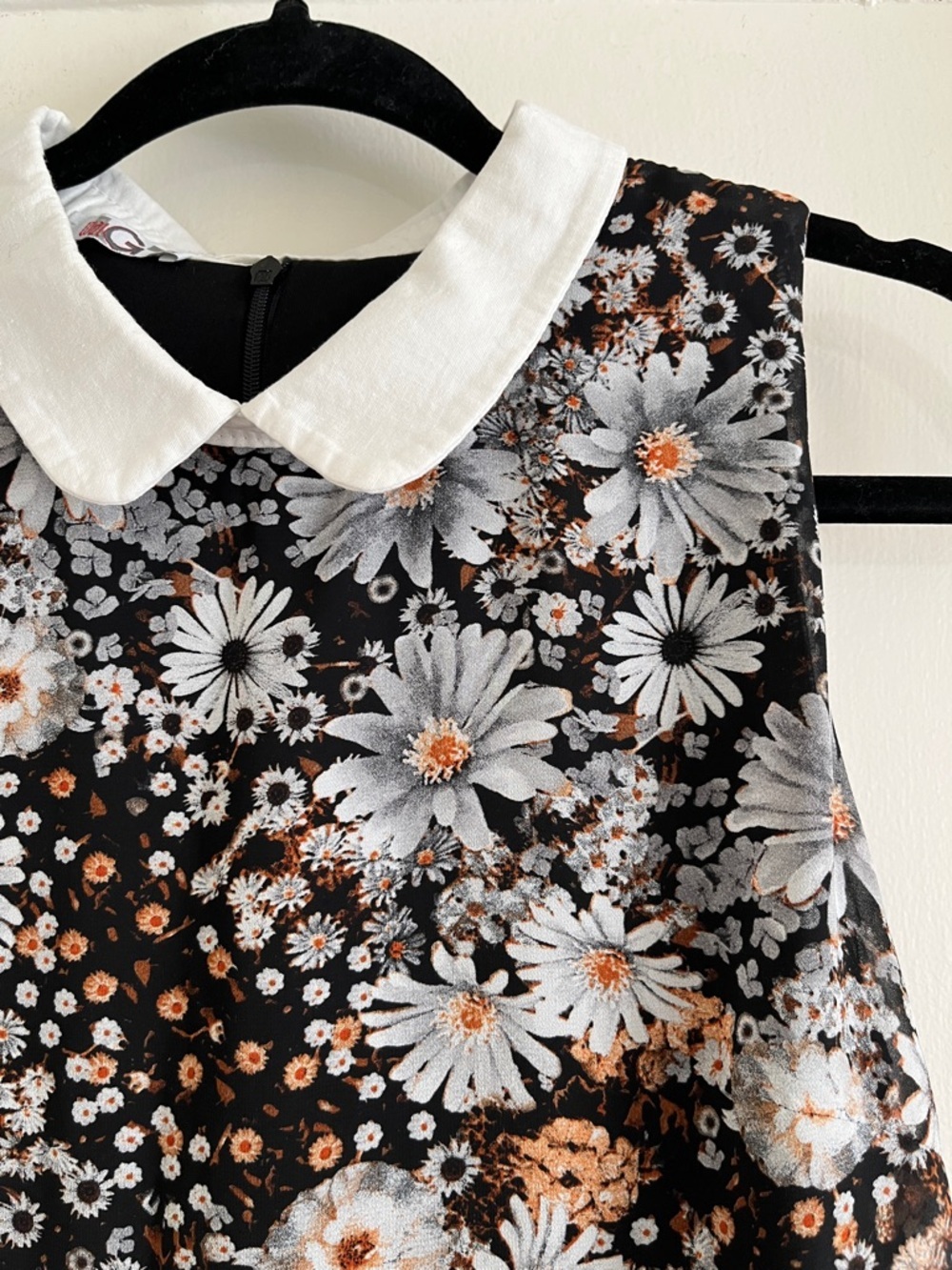 WalG London Daisy Floral Sheer Collared Mini Dress Fully Lined XS - Picture 2 of 13